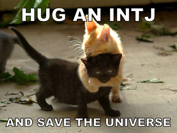 Hug an INTJ